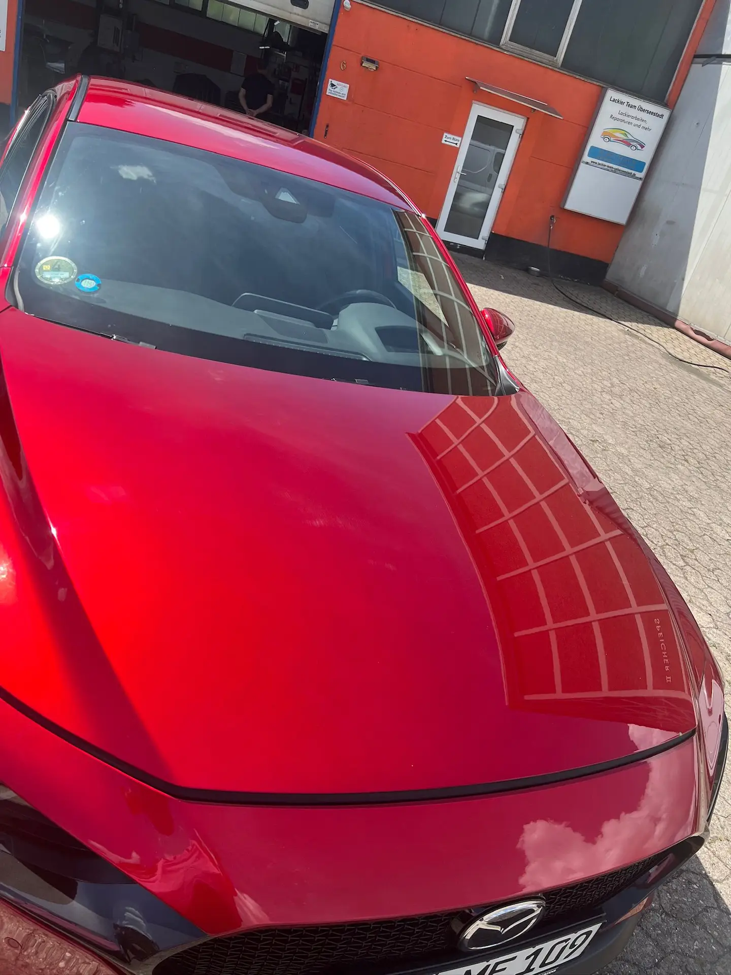 WhatsApp Image 2026-03-19 at 15.49.33