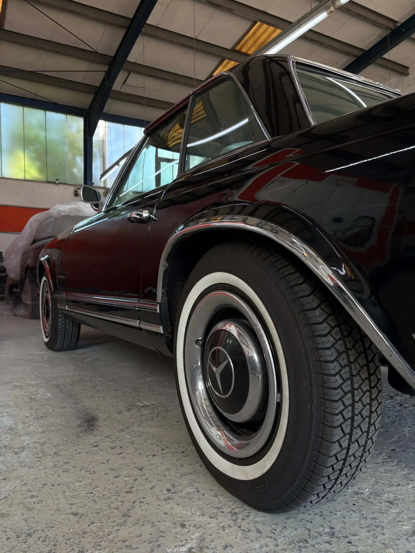 WhatsApp Image 2026-03-19 at 15.49.35