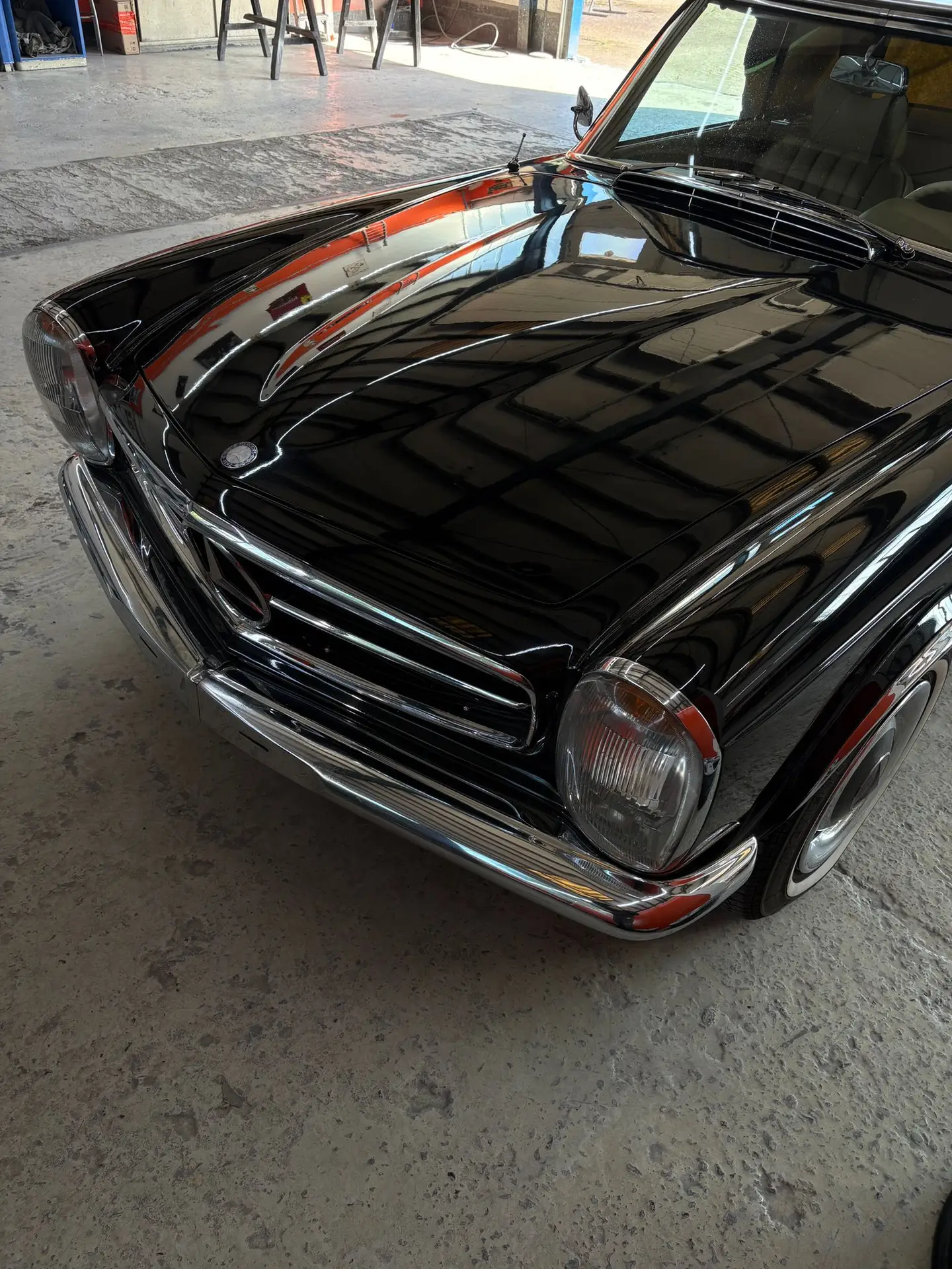 WhatsApp Image 2026-03-19 at 15.49.39