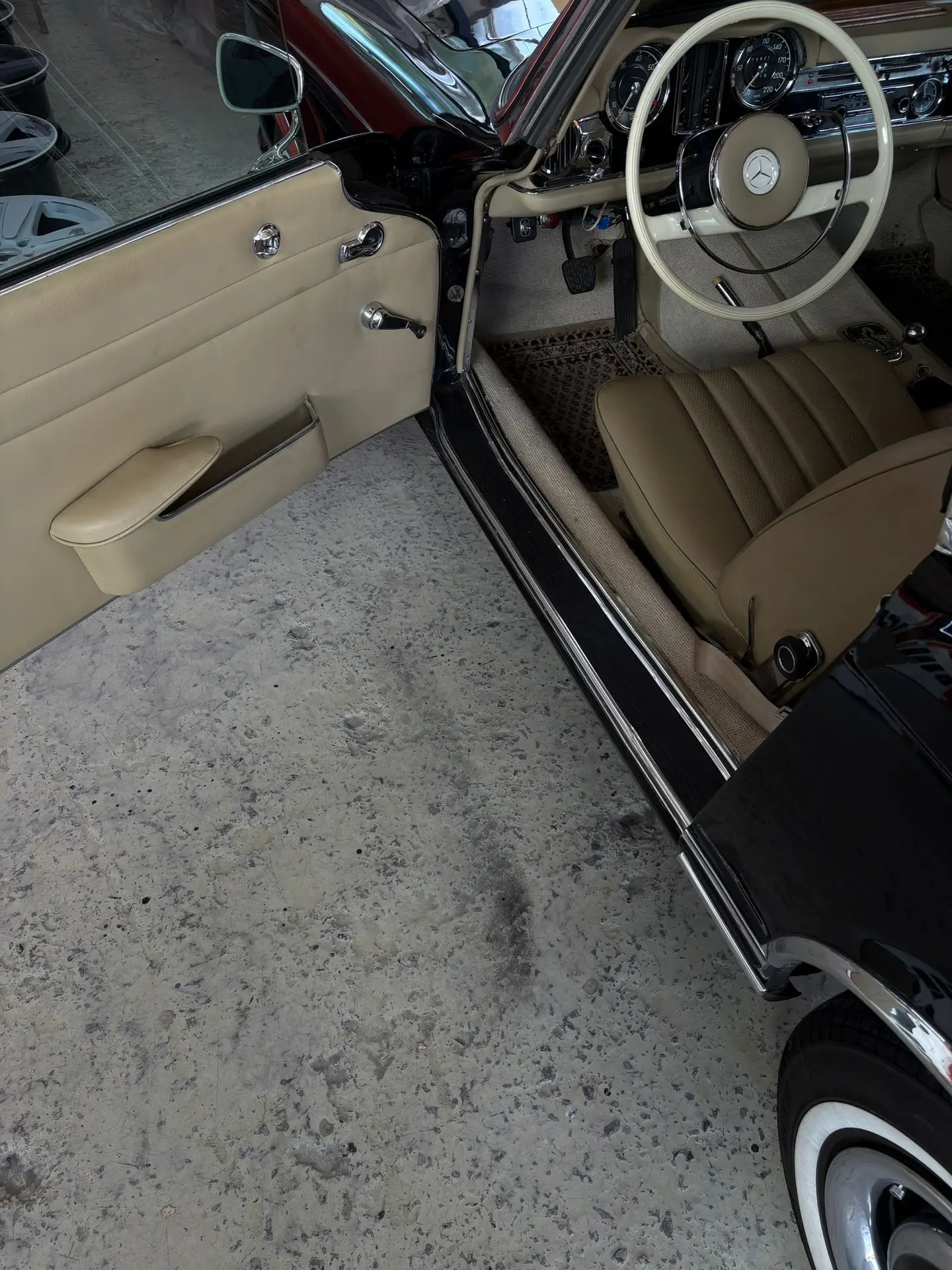 WhatsApp Image 2026-03-19 at 15.49.42